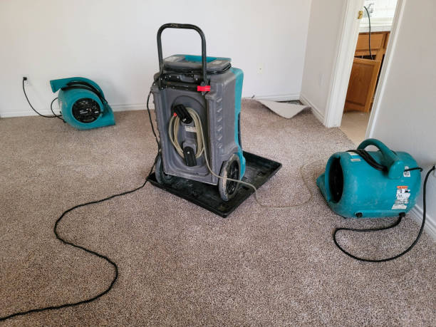 Best Residential water damage restoration  in Wakefield, VA
