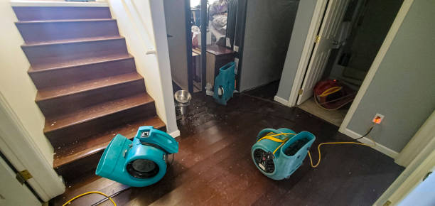 Best Professional water damage repair  in Wakefield, VA