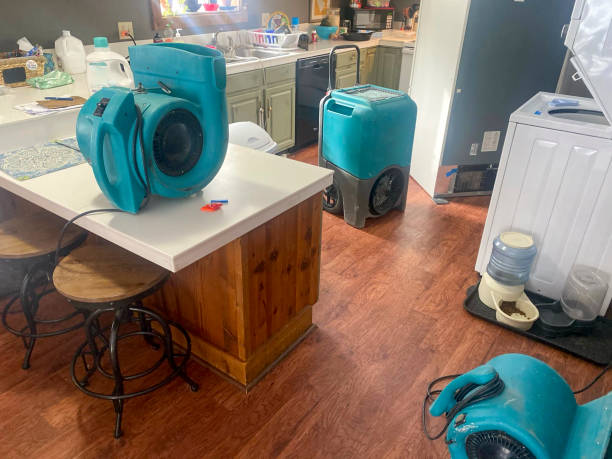 Trusted Wakefield, VA Water damage restoration Experts