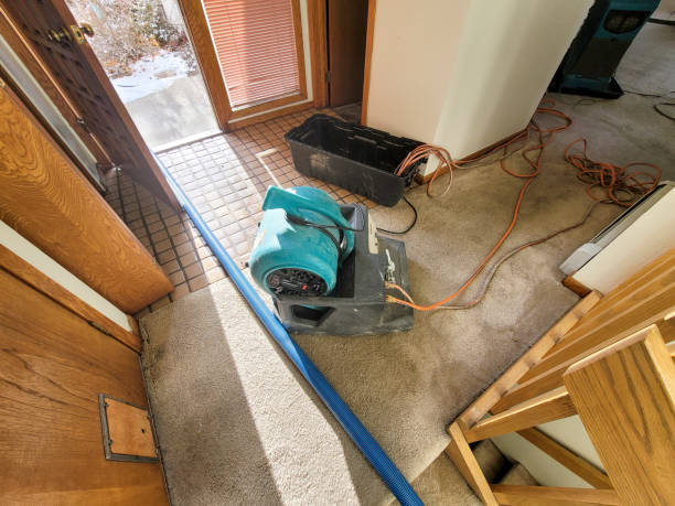 Best 24/7 water damage repair  in Wakefield, VA