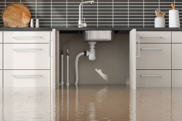 Best Flood damage cleanup  in Wakefield, VA