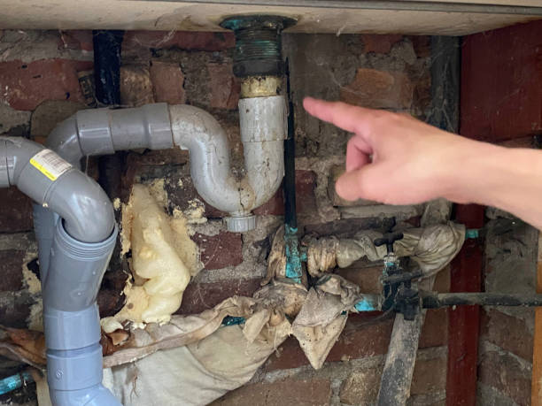 Best 24-hour water damage restoration  in Wakefield, VA