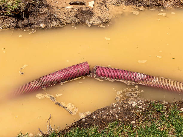 Best Local water damage restoration  in Wakefield, VA