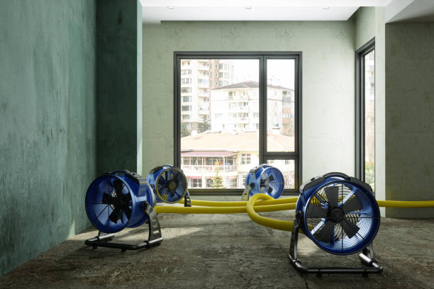 Best Ceiling water damage repair  in Wakefield, VA