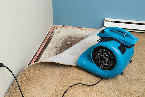 Best Flood damage cleanup  in Wakefield, VA